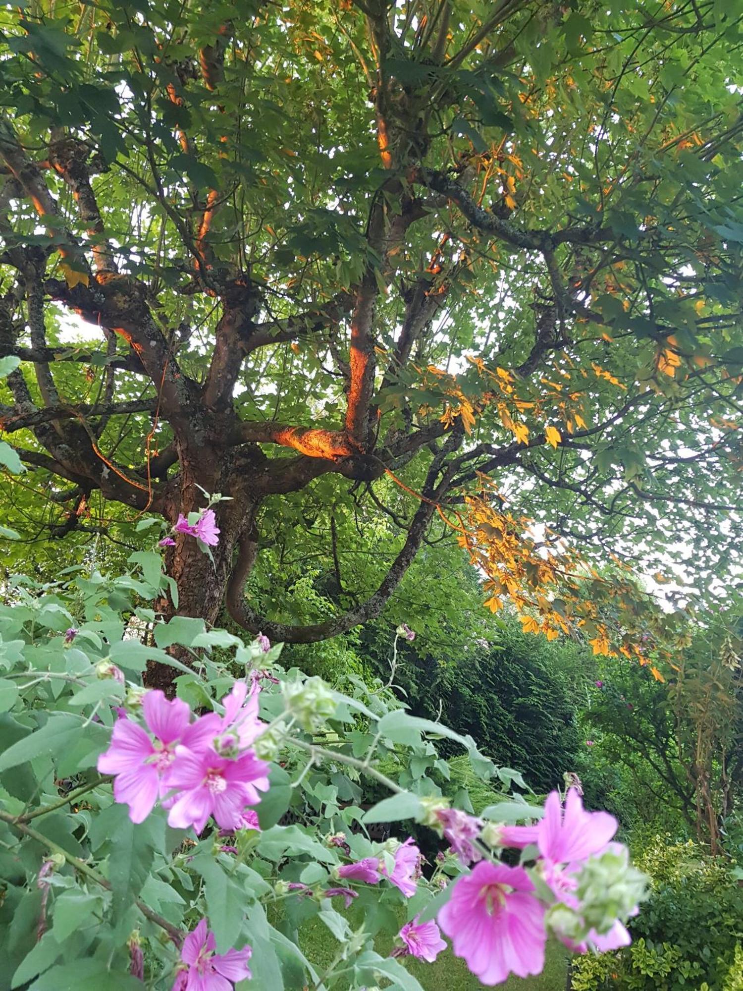 La Berceenne Jupilles 外观 照片